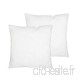 TODAY Lot 2 oreillers 60/60 Microfibre  Polyester  Blanc  60x60 cm - B008BETHCY